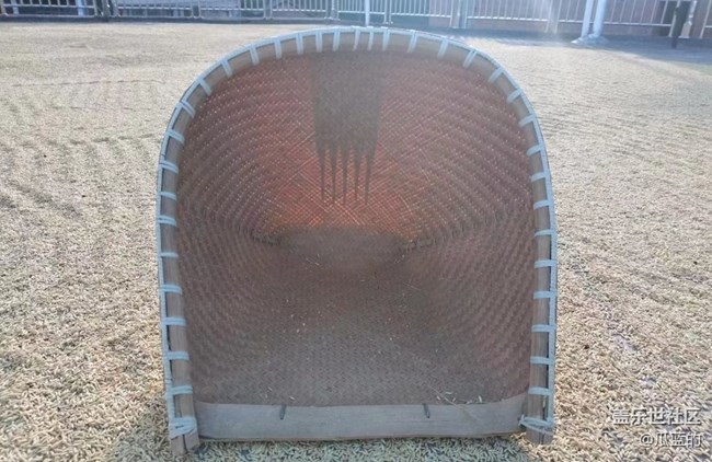 【最美秋色醉人心】糧谷歸倉