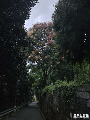 【快樂(lè)假日】+傍晚時(shí)光