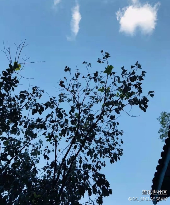 【家鄉(xiāng)風(fēng)情】回家里