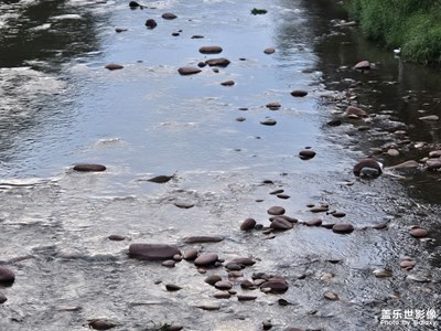 【快樂(lè)假日】+假期碎片