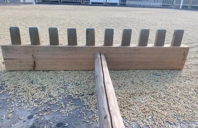 【最美秋色醉人心】糧谷歸倉