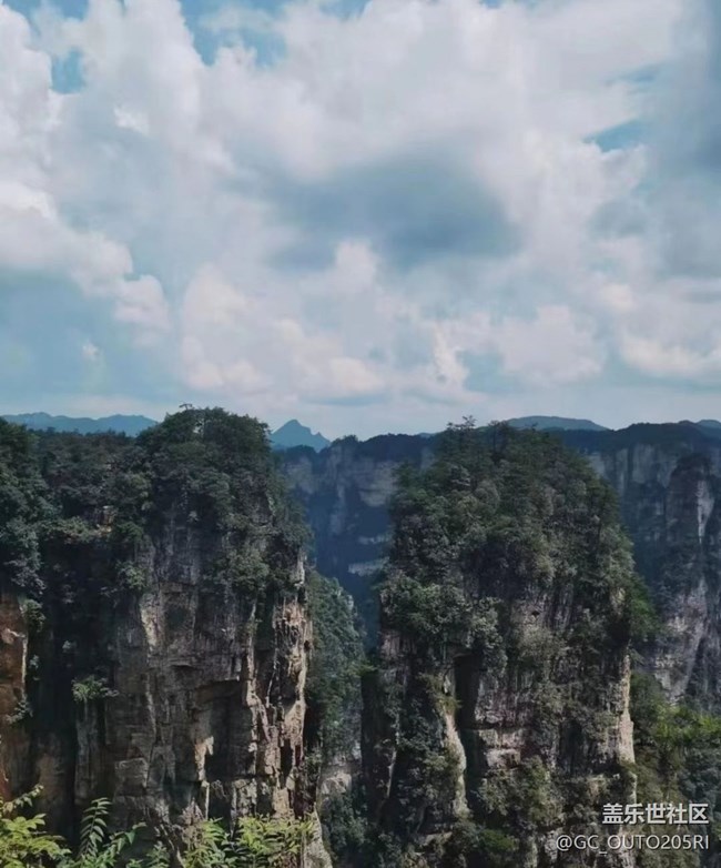 【最美秋色醉人心】張家界森林公園