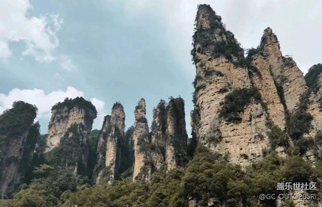 【最美秋色醉人心】張家界森林公園