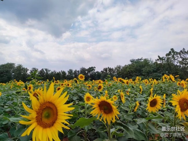 【最美秋色醉人心】豐收了