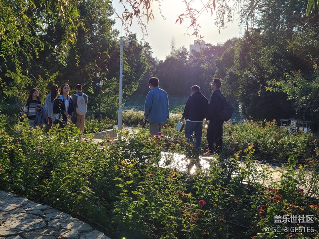 【秋色斑斕】賞秋色