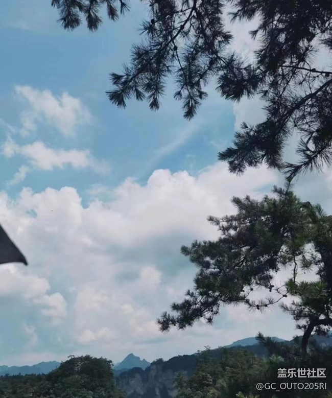 【最美秋色醉人心】張家界森林公園