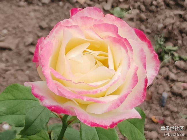 【陶然亭行攝】+十月陶然