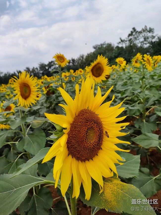 【最美秋色醉人心】豐收了