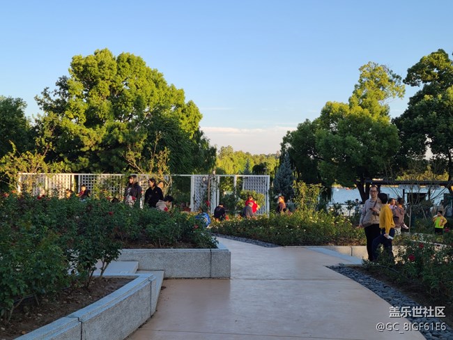 【秋色斑斕】賞秋色