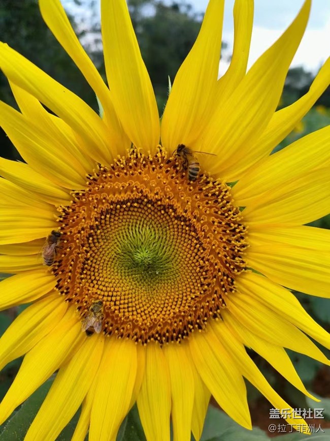 【最美秋色醉人心】豐收了