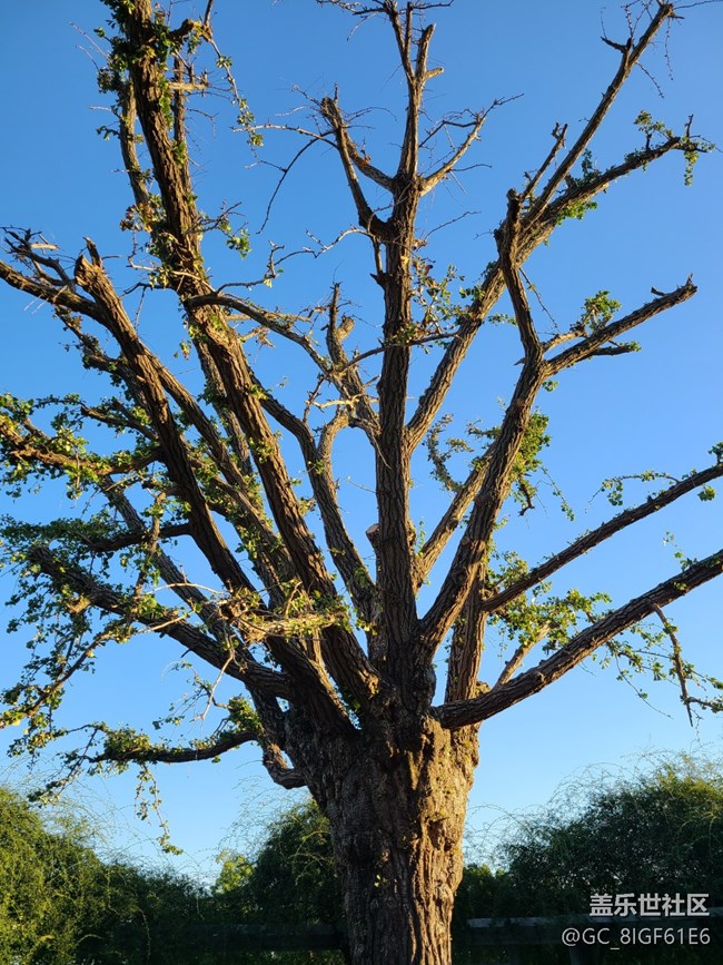 【秋色斑斕】賞秋色