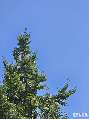 【金九銀十迎雙節(jié)】+秋日晴天