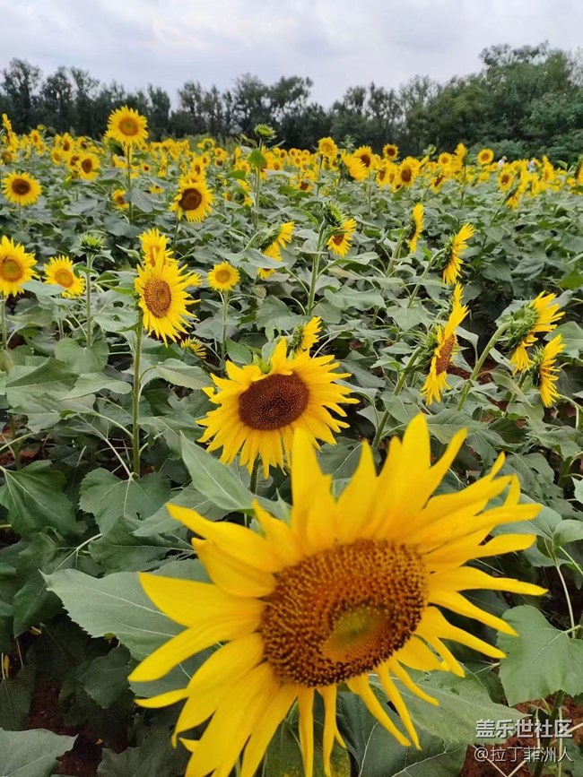 【最美秋色醉人心】豐收了