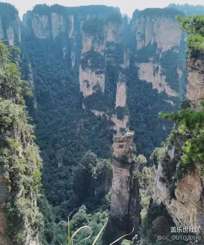 【最美秋色醉人心】張家界森林公園