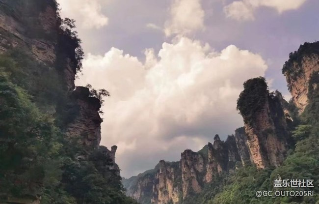 【最美秋色醉人心】張家界森林公園