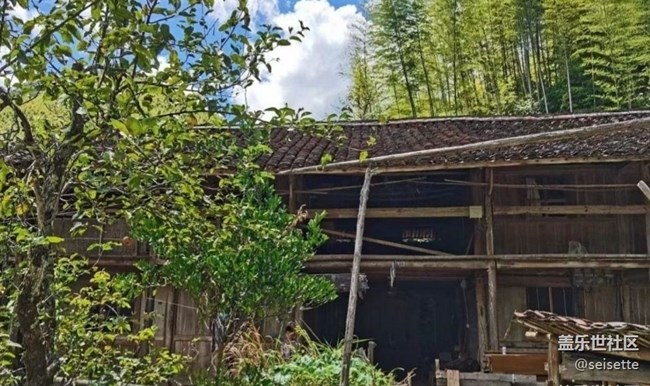 【我的十一假期】假期結(jié)束了