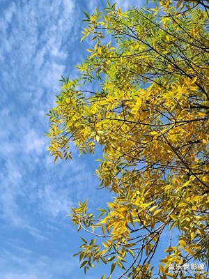 【快樂假日】享受