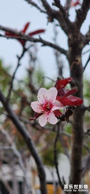 【金秋時節(jié)】+秋色連波