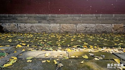 嗯，好看好看（頭都不抬一下）