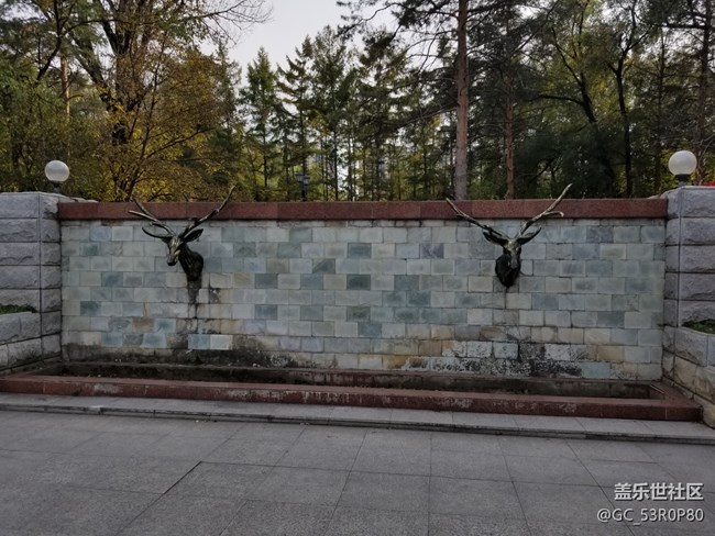 【哈爾濱星部落】【哈爾濱之秋】