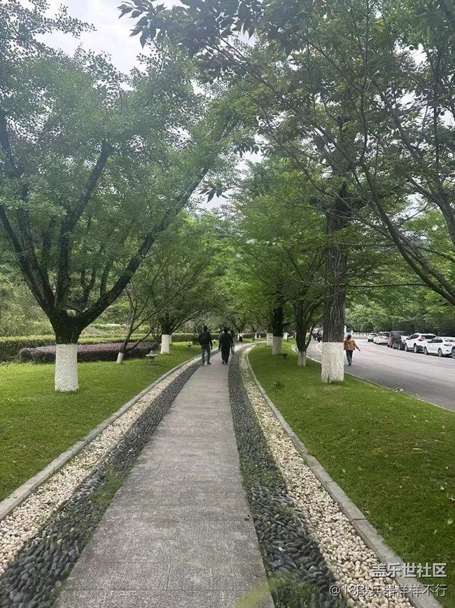 【最美秋色醉人心】綠色