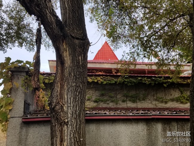 【哈爾濱星部落】【哈爾濱之秋】