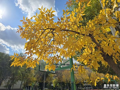 【金秋時節(jié)】+五彩斑斕的世界