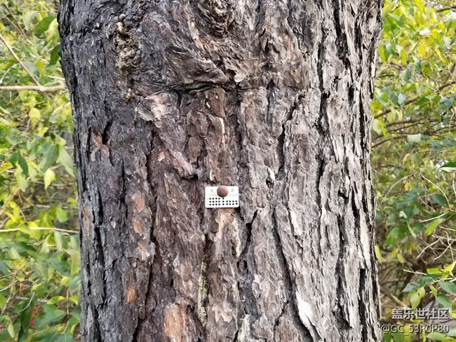 【哈爾濱星部落】【哈爾濱之秋】