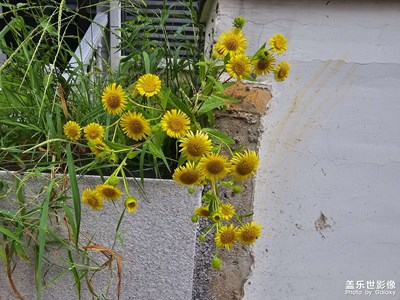 隨手拍