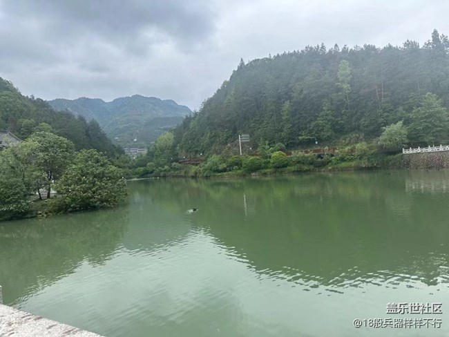 【最美秋色醉人心】綠色