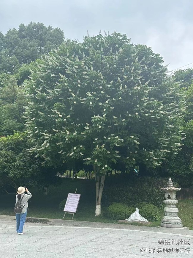 【最美秋色醉人心】綠色