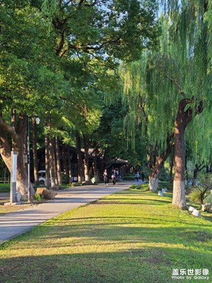 【金秋時節(jié)】秋天景象