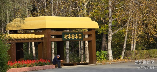 【哈爾濱之秋】我們一起游