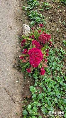 【金秋時(shí)節(jié)】+色彩紛呈