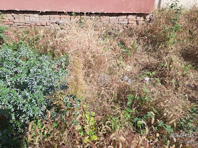 【初秋的顏色】秋天也可以五顏六色