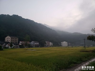 【金秋時(shí)節(jié)】+秋收