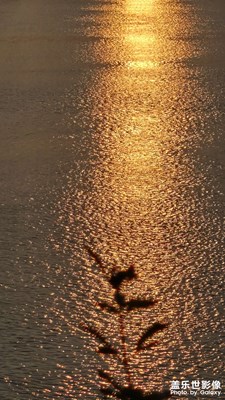 【金秋時(shí)節(jié)】＋日落霞光