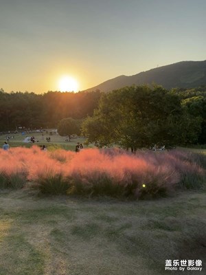 【金秋時節(jié)】夢幻