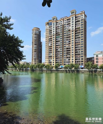 【隨拍分享】秋韻?秋意漫灑蒼穹