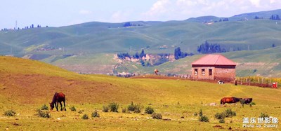 帶上S23Ultra來到新彊唐布拉大草原