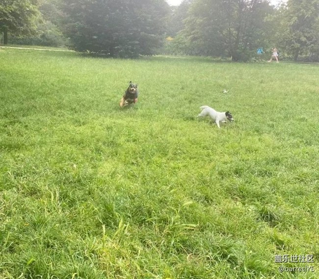 【萌萌的寵物】遛狗