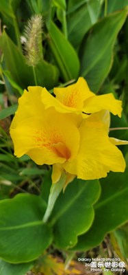 【金秋時節(jié)】+隨手拍