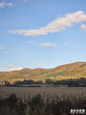 【金秋時(shí)節(jié)】+田野天空
