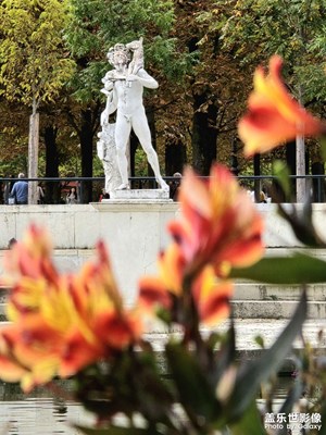 【金秋時(shí)節(jié)】杜樂麗花園的秋色