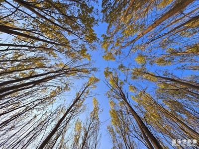 【金秋時節(jié)】+游蒲河國家濕地公園