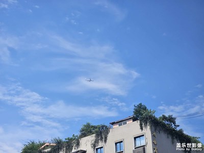 【金秋時節(jié)】看，飛機(jī)！