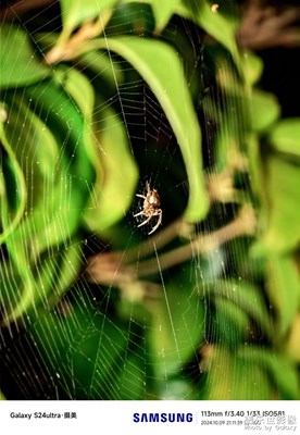這個東西實(shí)在太難拍了