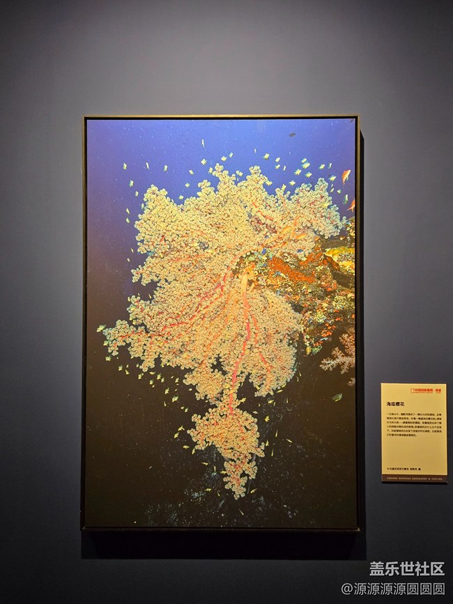 【共賞地理之美】武漢星部落活動總結(jié)帖