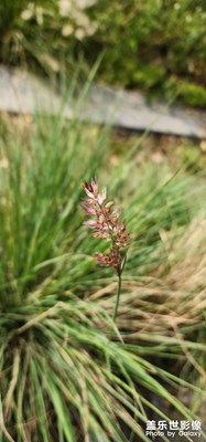 細(xì)微末節(jié)