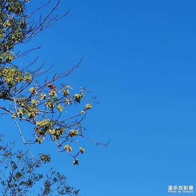 金秋時節(jié) 秋高氣爽